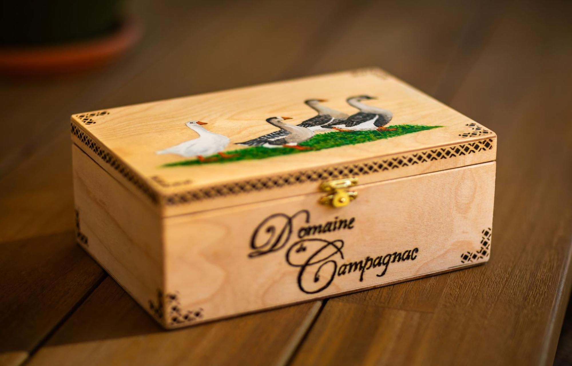 Domaine de Campagnac - Spa&Sauna Carsac-Aillac Extérieur photo